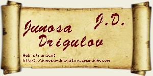 Junoša Drigulov vizit kartica